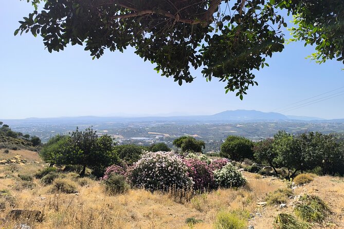 Psiloritis Mountain and Sfendoni Cave 4x4 Cretan Villages Tour - Anogia lunch with wine and water: why this stop is worth the appetite