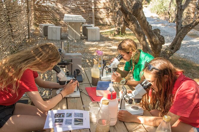 Research diving with a Marine Biologist in Crete - The staff: friendly, professional, and built for teaching