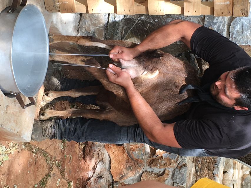 Rethymno 4x4 Safari: Tastes & Farm Experience - Why This 7-Hour Rethymno 4x4 Safari Feels Like the Real Crete