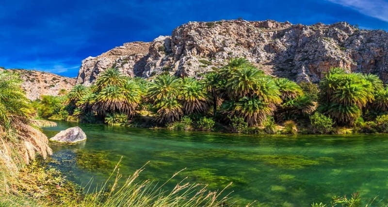 Rethymno/Chania: Preveli Beach and Kourtaliotiko Gorge Tour - Preveli Beach and palm forest: how to use your time well