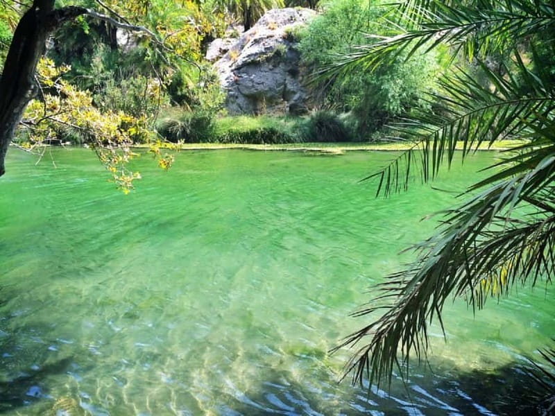 Rethymno/Chania: Preveli Beach and Kourtaliotiko Gorge Tour - The extra beach and lunch timing: how Damnoni fits into the day