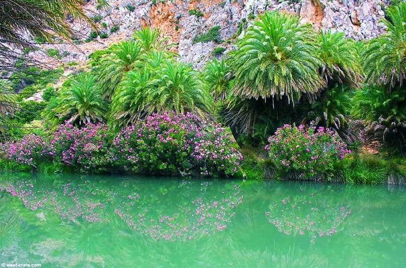 Rethymno/Chania: Preveli Beach and Kourtaliotiko Gorge Tour - Should you book: the honest verdict