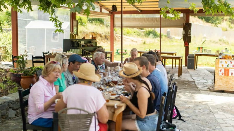 Rethymno: Full-Day Land Rover Safari to Preveli - Kourtaliotiko Gorge to Preveli: from Cretan wildness to a palm-lined swim