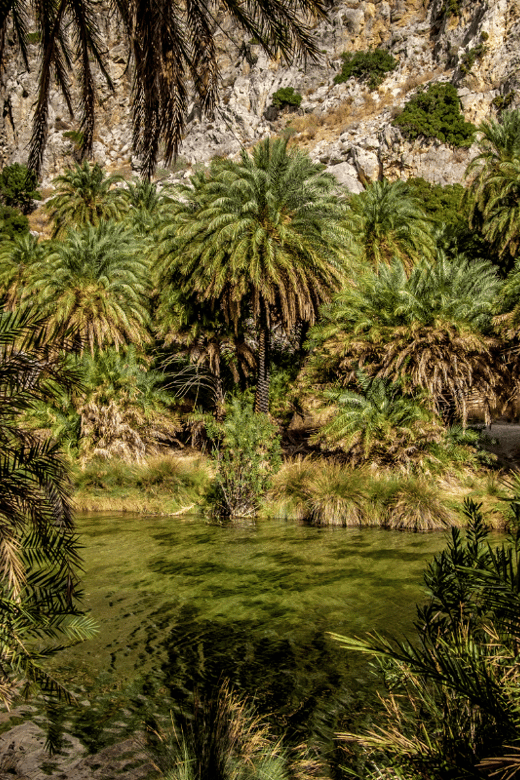 Rethymno: Preveli Palms, Damnioni & Plakia Beach & Canyon - Practical Tips That Make the Day Smoother
