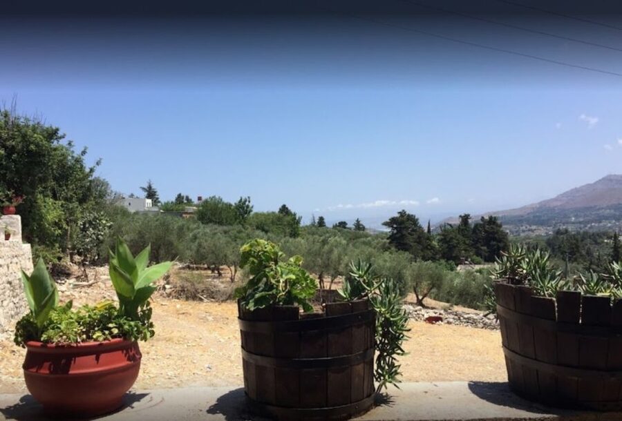 Rethymno: Private Winery & Olive Oil Tasting Tour with Lunch - Dourakis Winery: the guided tour and the tasting room payoff
