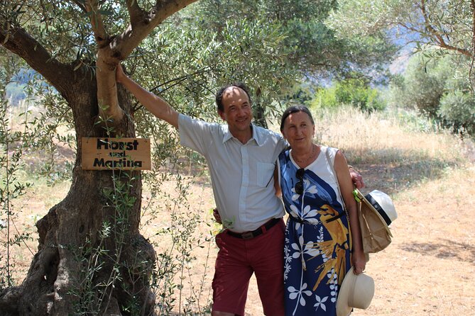 Rethymnon Olive Tree Sponsorship Protect and Plant Tour - Getting to the olive grove from Rethymno, and what to do if you need options