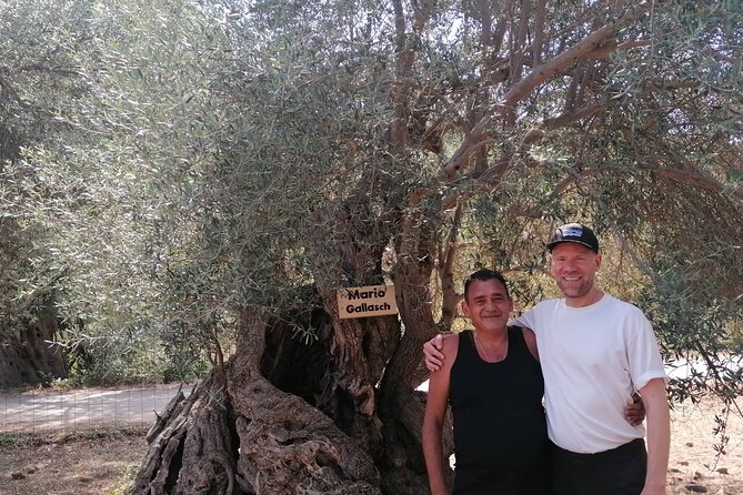 Rethymnon Olive Tree Sponsorship Protect and Plant Tour - In the grove: name tags, photos, and that sponsorship toast