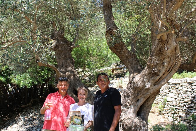 Rethymnon Olive Tree Sponsorship Protect and Plant Tour - Price and duration: where the $141.78 feels fair