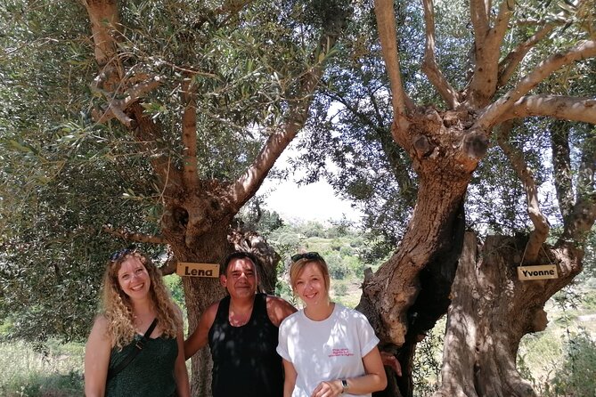 Rethymnon Olive Tree Sponsorship Protect and Plant Tour - Team, language, and what to ask while you are there