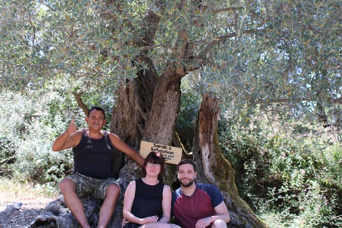 Rethymnon Olive Tree Sponsorship Protect and Plant Tour - Weather checks and timing: how to keep the day stress-free