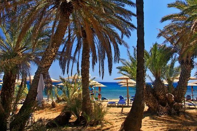 RIVIERA - Vai Palm Beach, Toplou Monastery - Key things I’d circle before you book