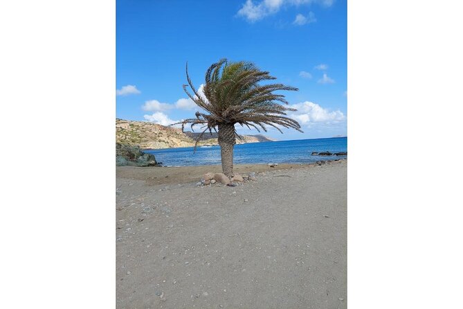 RIVIERA - Vai Palm Beach, Toplou Monastery - A 9:00 am start from Agios Nikolaos to Crete’s eastern coast