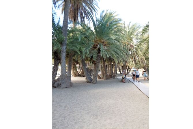 RIVIERA - Vai Palm Beach, Toplou Monastery - Inside the monastery shop experience, including tasting if you want it