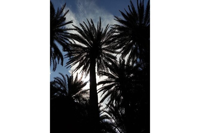 RIVIERA - Vai Palm Beach, Toplou Monastery - Included lunch and drinks, with Cretan food that actually feels local