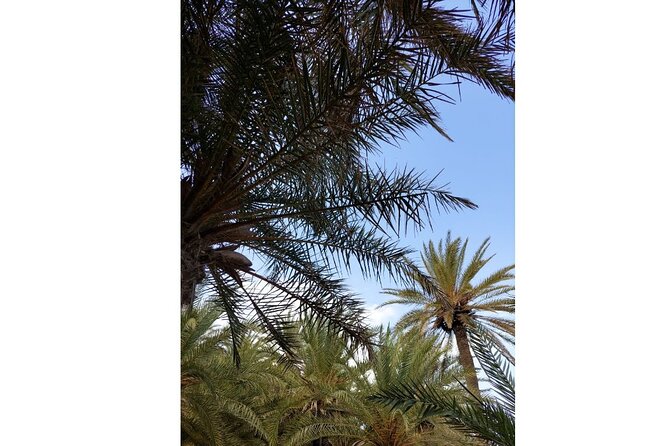 RIVIERA - Vai Palm Beach, Toplou Monastery - Price and value: what $107.17 gets you in a real full day