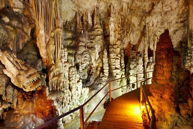 Road-trip to Lasithi, Zeus Cave, Vidiani, Krasi & Olive Mill Farm - Key highlights you should care about