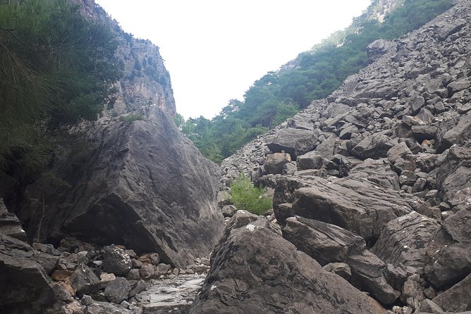 SAMARIA GORGE adventure by local guide. - What Pari Vigli teaches you: herbs, plants, and local traditions you can spot