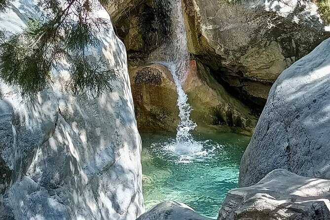 Samaria Gorge from Chania with Professional Hiking Guide - The Guide and the Service Touch: TourMaster, Ria, and Support That Shows Up
