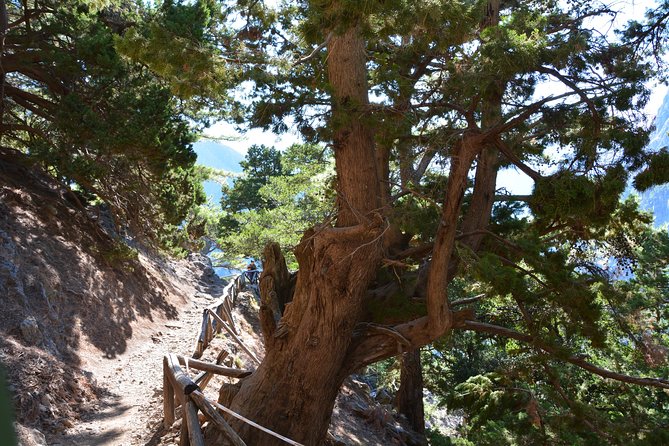 Samaria Gorge Hike - Samaria Gorge hike with guide Kostas and a real map