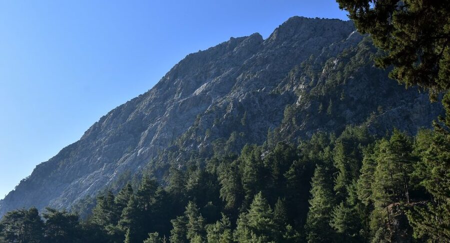 Samariá Gorge Hike: Day Excursion from Chania - Key points to know before you go