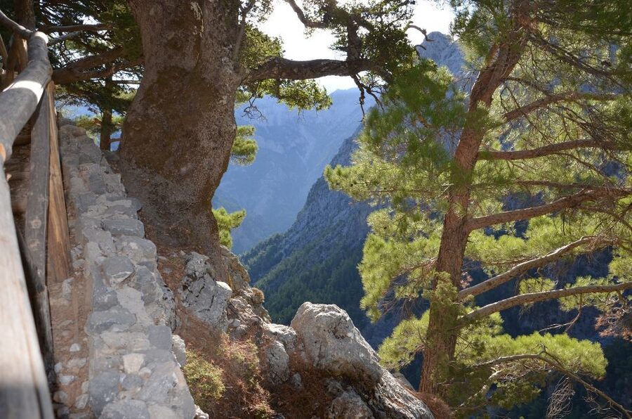 Samariá Gorge Hike: Day Excursion from Chania - How the Chania to Samariá day trip really unfolds
