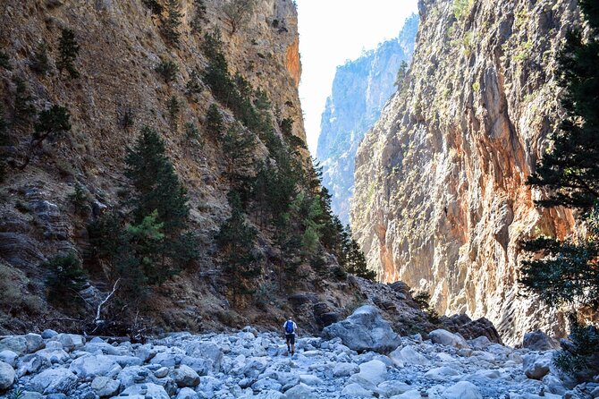 Samaria Gorge Hike from Heraklion region - Inside Samaria: Wild Goats, Rare Flowers, and a Real Nature Classroom