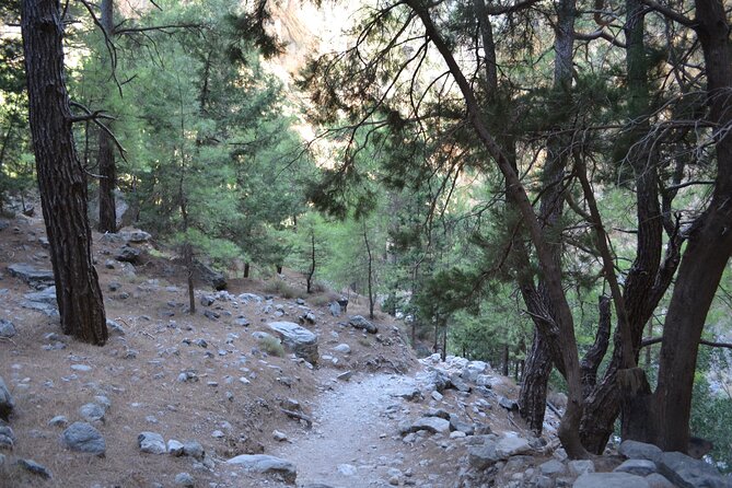 Samaria Gorge Hiking Tour from Chania with Professional Guide - Agia Roumeli: the payoff stop, swim plus lunch choices