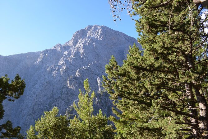 Samaria Gorge Hiking Tour from Chania with Professional Guide - Ferry to Sougia and the return bus that keeps the day moving