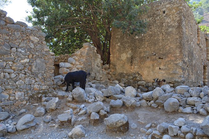 Samaria Gorge Hiking Tour from Chania with Professional Guide - The two key extra fees: gorge entrance and ferry