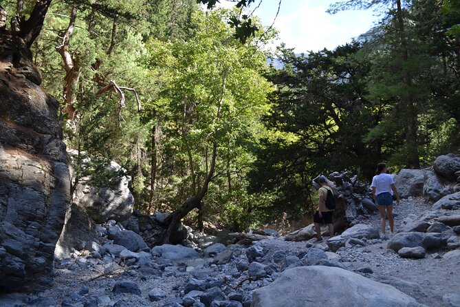 Samaria Gorge Hiking Tour from Chania with Professional Guide - Guide quality: where the experience can be excellent, or feel messy