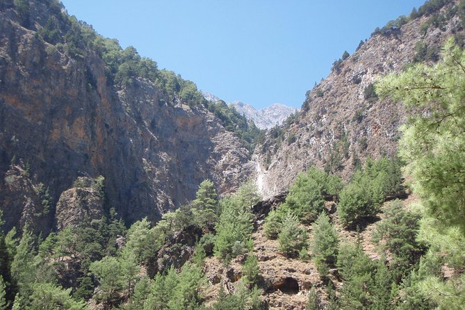 Samaria Gorge private Transfer from Chania (price per group of 6) - Getting to the national park: entry fees, early starts, and pacing