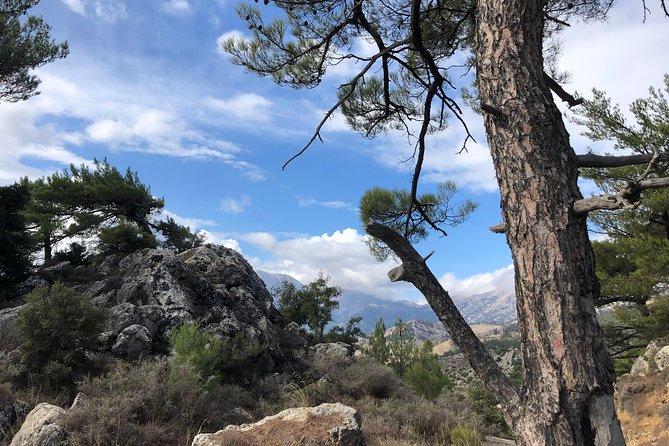 Sarakina Gorge, Kritza, Oliveoil Tasting, Mountains, South Coast - Who This Tour Suits Best, and Who Should Rethink It