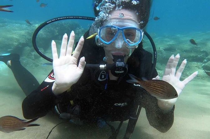 Scuba Diving for Beginners with a PADI Instructor near Heraklion - Who This Beginner Course Suits Best (And Who Should Recheck)