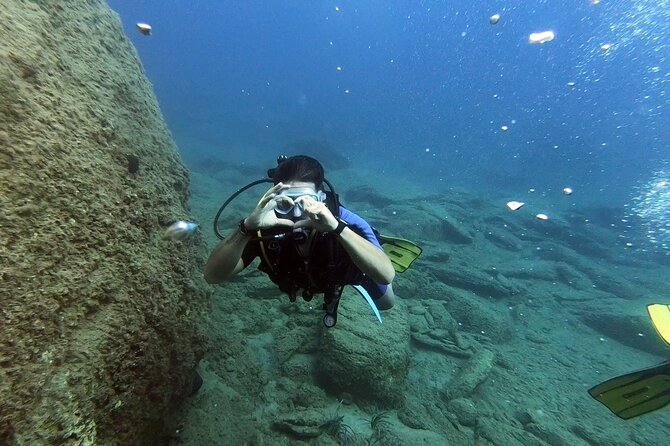 Scuba Diving for Beginners with a PADI Instructor near Heraklion - Seeing the House Reef and Fish Near Heraklion