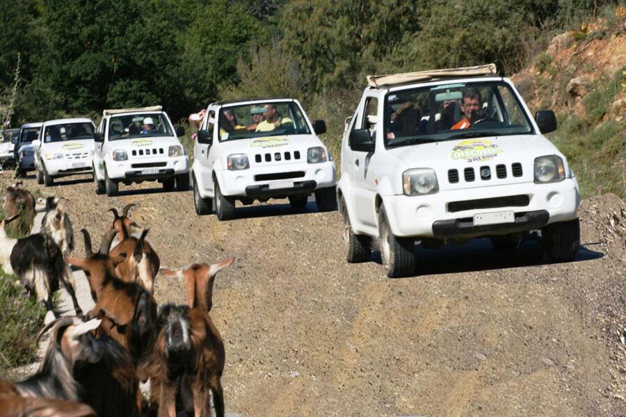 Self-Drive Jeep Safari to South Coast, Palm Beach & Canyons - Jeep Comfort, Shared Seating, and Who Should Think Twice