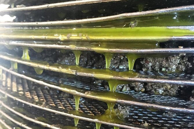 Semi- Private Olive Grove and Dragon Fruit Farm with Tastings - Why this Koronekes olive oil tasting feels special in Crete