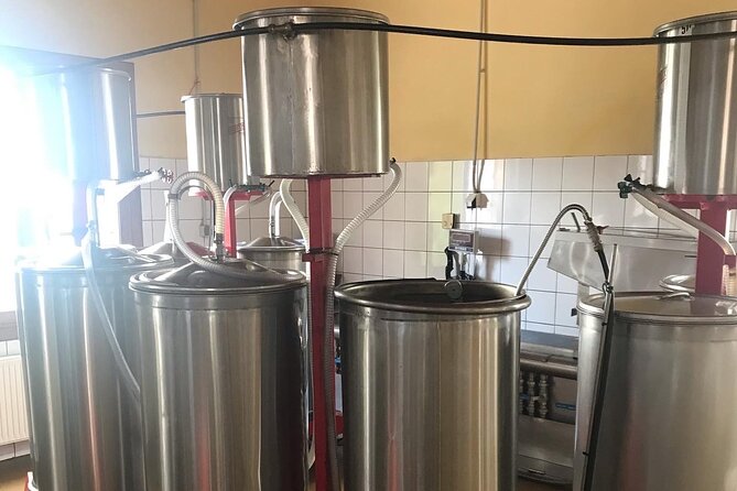 Semi- Private Olive Grove and Dragon Fruit Farm with Tastings - Three tastings: how to compare flavors without overthinking it