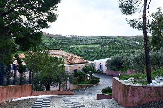 Semi Private Wine and Olive Oil tour (Transfer & Lunch Incl.) - Stop 2 Peza Wineries: Lyrarakis, Titakis, or Stylianou