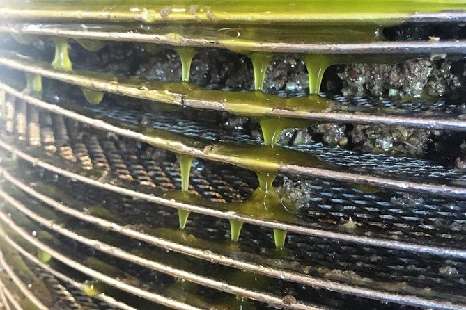 Semi Private Wine and Olive Oil tour (Transfer & Lunch Incl.) - Small-Group Size Changes the Vibe More Than You Think