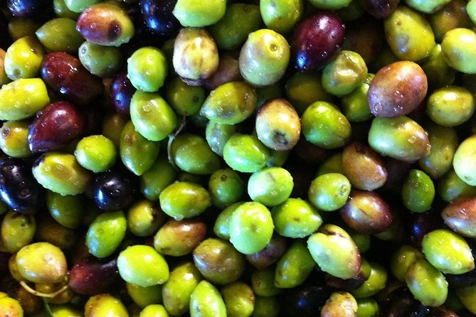 Semi Private Wine and Olive Oil tour (Transfer & Lunch Incl.) - Price and Logistics: Does $185.73 Feel Like Good Value?