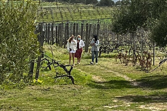 Semi-Private Wine Tour of 2 wineries with wine Tastings - Key things to know before you go