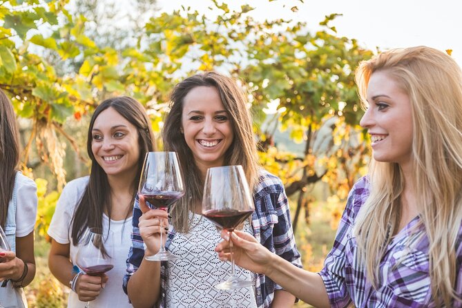 Semi-Private Wine Tour of 2 wineries with wine Tastings - Stilianou Winery near Peza and Heraklion: vineyards, sunflower fields, and a relaxed tasting