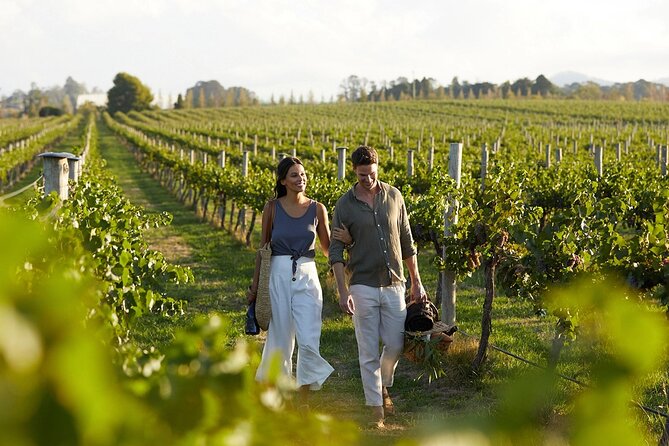 Semi-Private Wine Tour of 2 wineries with wine Tastings - Titakis Wines Fabrika: modern industrial wine in a place called conCrete Village