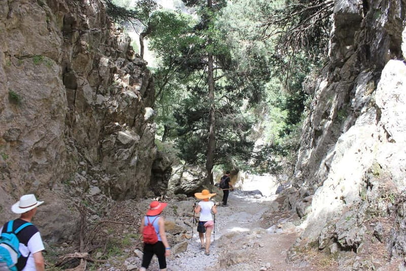 Sfakia Private Escape: Imbros Gorge, History & Hidden Beach - The Imbros Gorge Walk, 8 km of Cretan Canyon Country