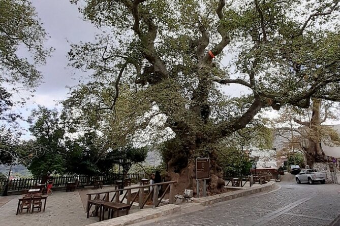 Shore Excursion Crete, Cave of Zeus, Palace of Knossos & Villages - Price and value: what $261.80 is really paying for