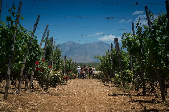 Shuttle & Wine Experience at Lyrarakis Winery - Timing tips for a 3:30 pm tasting (and how to pair it with the rest of your day)