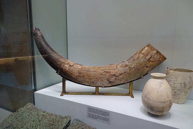 Skip the Line-Archaeol Museum/Knossos Palace-Private Guided Tour - Heraklion Archaeological Museum: where the Minoan story becomes concrete