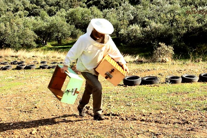 Small-Group Honey & Extra Virgin Olive Oil Tasting Tour in Crete - Key Things You’ll Notice on This Idiosmos Tour