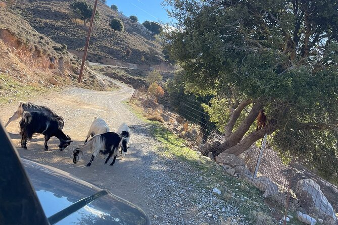 Small Group Jeep Safari Through Lassithi Myths and Flavors - Sfendili and Gonies: starting with a submerged mystery