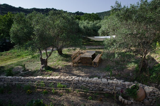 Small-Group Wine Tasting Activity in West Chania - Where PoTolo fits in West Chania